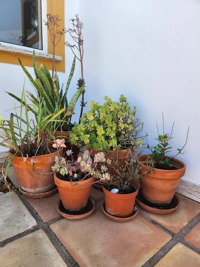 Vakantiehuis Quinta Das Amendoas Carvoeiro